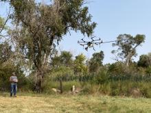 Wesley Prosser operates the drone in a hilly area where spraying can reach inaccessible invasive species.